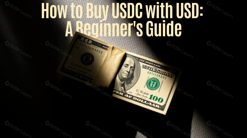 如何使用 USD 購買 USDC：新手交易者指南